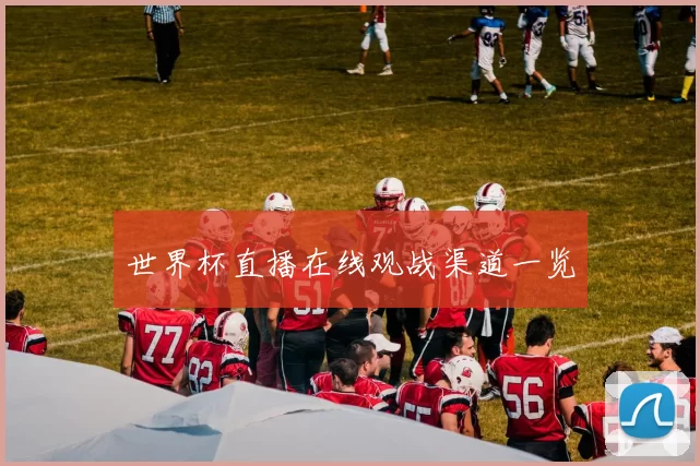 世界杯直播在线观战渠道一览