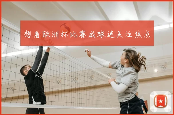 想看欧洲杯比赛成球迷关注焦点