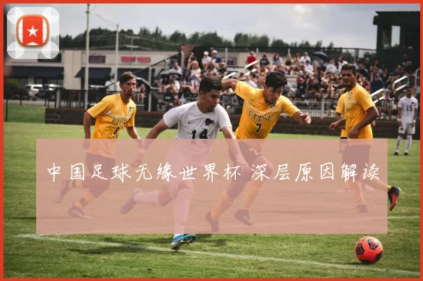 中国足球无缘世界杯 深层原因解读