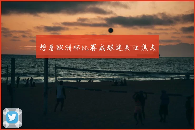 想看欧洲杯比赛成球迷关注焦点