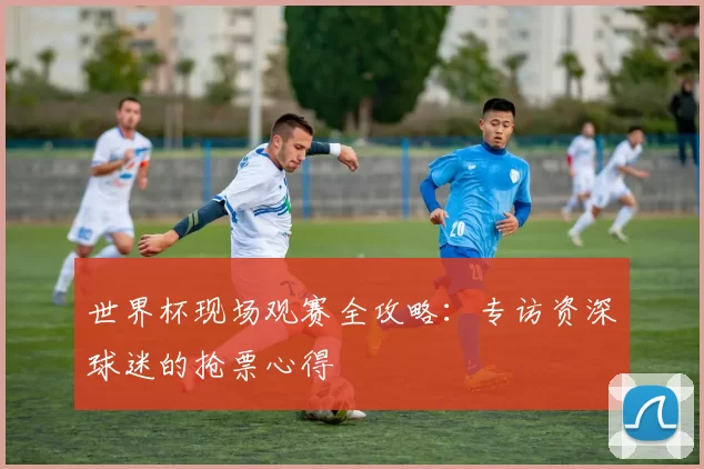 世界杯现场观赛全攻略：专访资深球迷的抢票心得