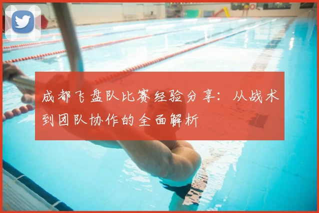 成都飞盘队比赛经验分享:从战术到团队协作的全面解析