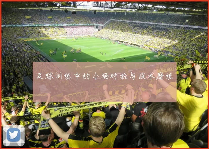 足球训练中的小场对抗与技术磨练