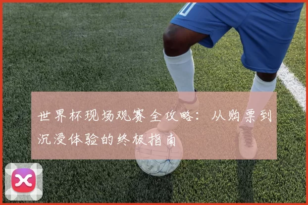 世界杯现场观赛全攻略：从购票到沉浸体验的终极指南