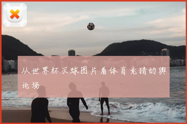 从世界杯买球图片看体育竞猜的舆论场