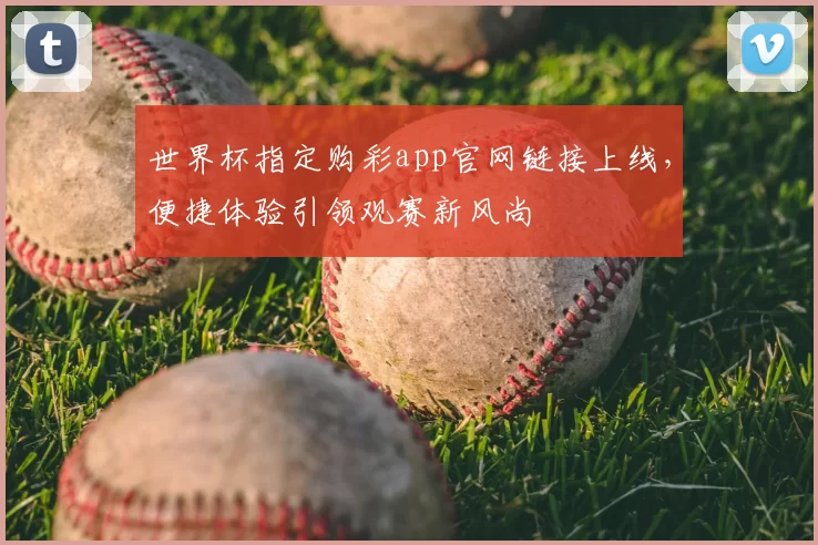 世界杯指定购彩app官网链接上线，便捷体验引领观赛新风尚