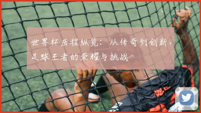 世界杯历程纵览:从传奇到创新,足球王者的荣耀与挑战