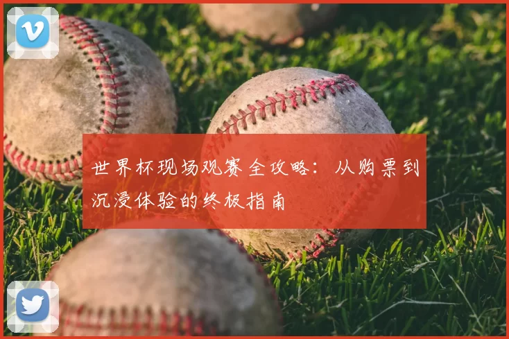 世界杯现场观赛全攻略：从购票到沉浸体验的终极指南