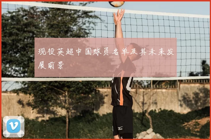 现役英超中国球员名单及其未来发展前景