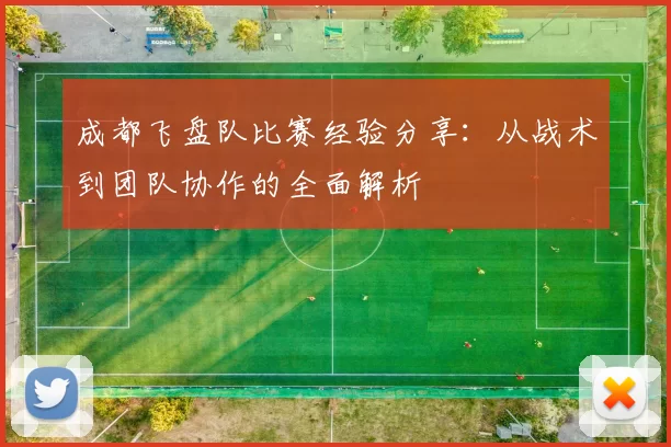成都飞盘队比赛经验分享:从战术到团队协作的全面解析