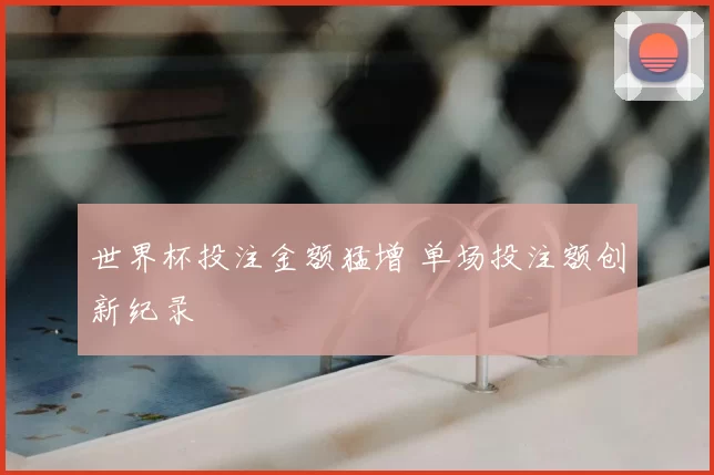 世界杯投注金额猛增 单场投注额创新纪录