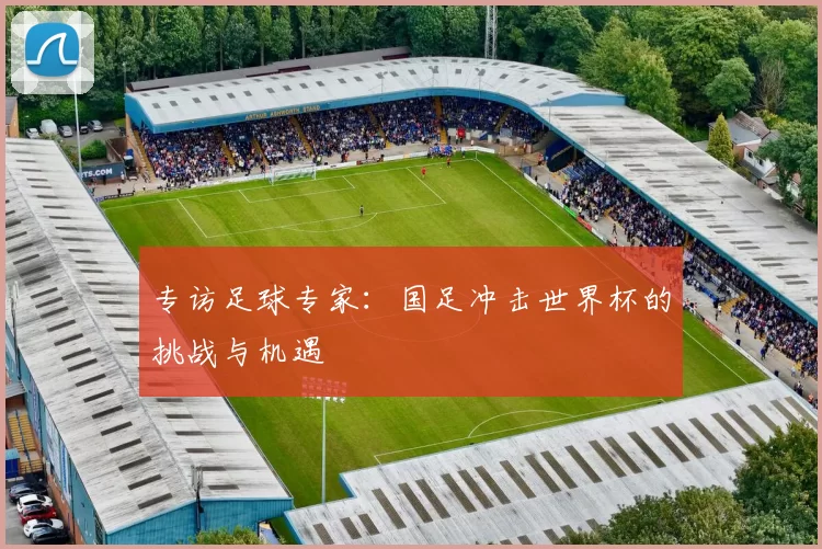 专访足球专家：国足冲击世界杯的挑战与机遇