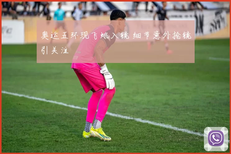 奥运五环现飞蛾入镜 细节意外抢镜引关注