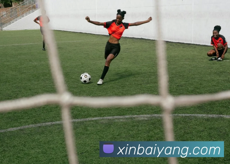 华体会手机网页版发展历程