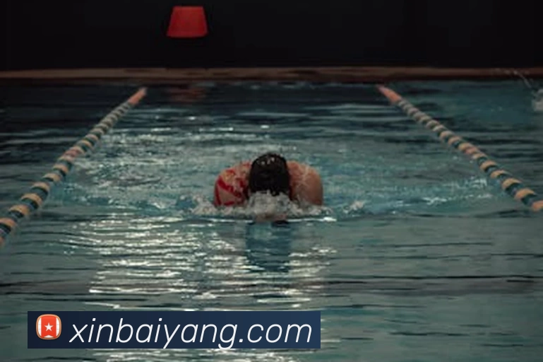 华体会手机网页版服务体系